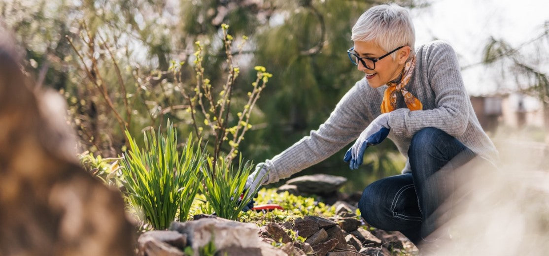 The Art of Creating a Sustainable Garden