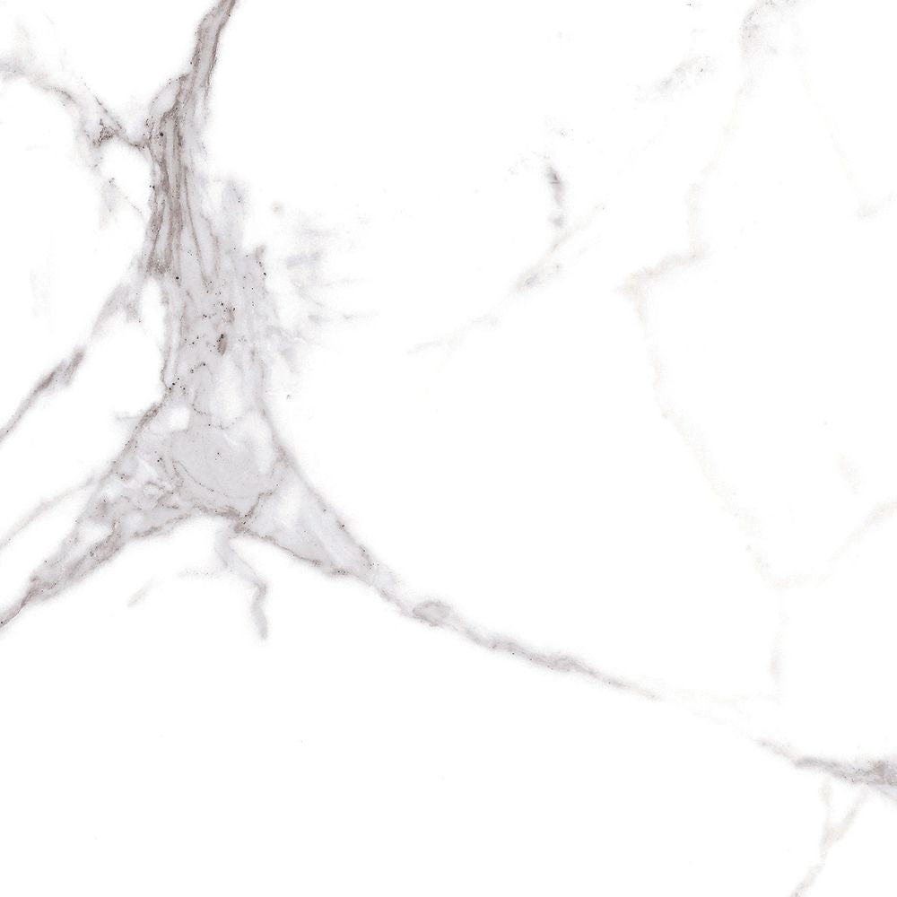 Platin Blanco Rec 60 x 60cm Brillo Marble Effect Tile Swatch