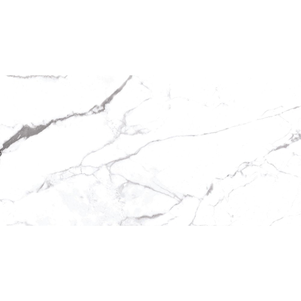 Olite Gemstone Porcelain Indoor Marble Effect White Matt Wall & Floor Tile 60x120 - ROCCIA Outlet